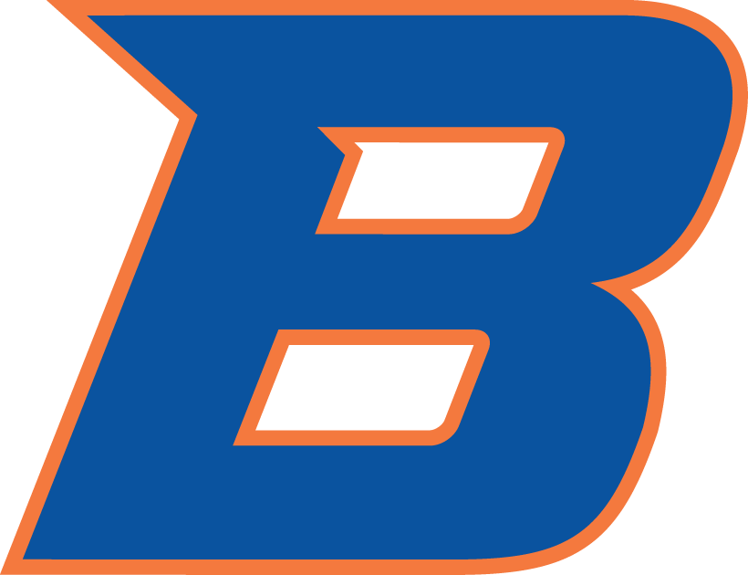 Boise State Broncos 2013-Pres Secondary Logo diy DTF decal sticker